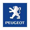 Peugeot roetfilter reinigen
